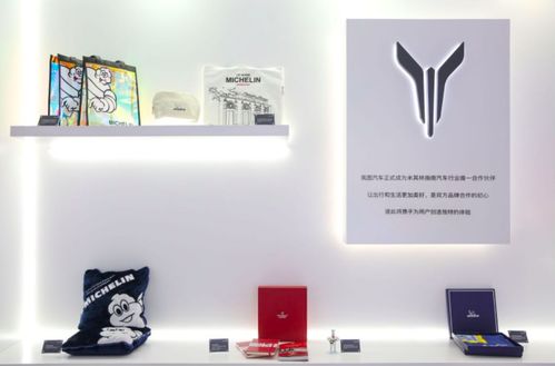 嵐圖free首次亮相,智能大屏炫酷全場(chǎng) 2021上海車(chē)展